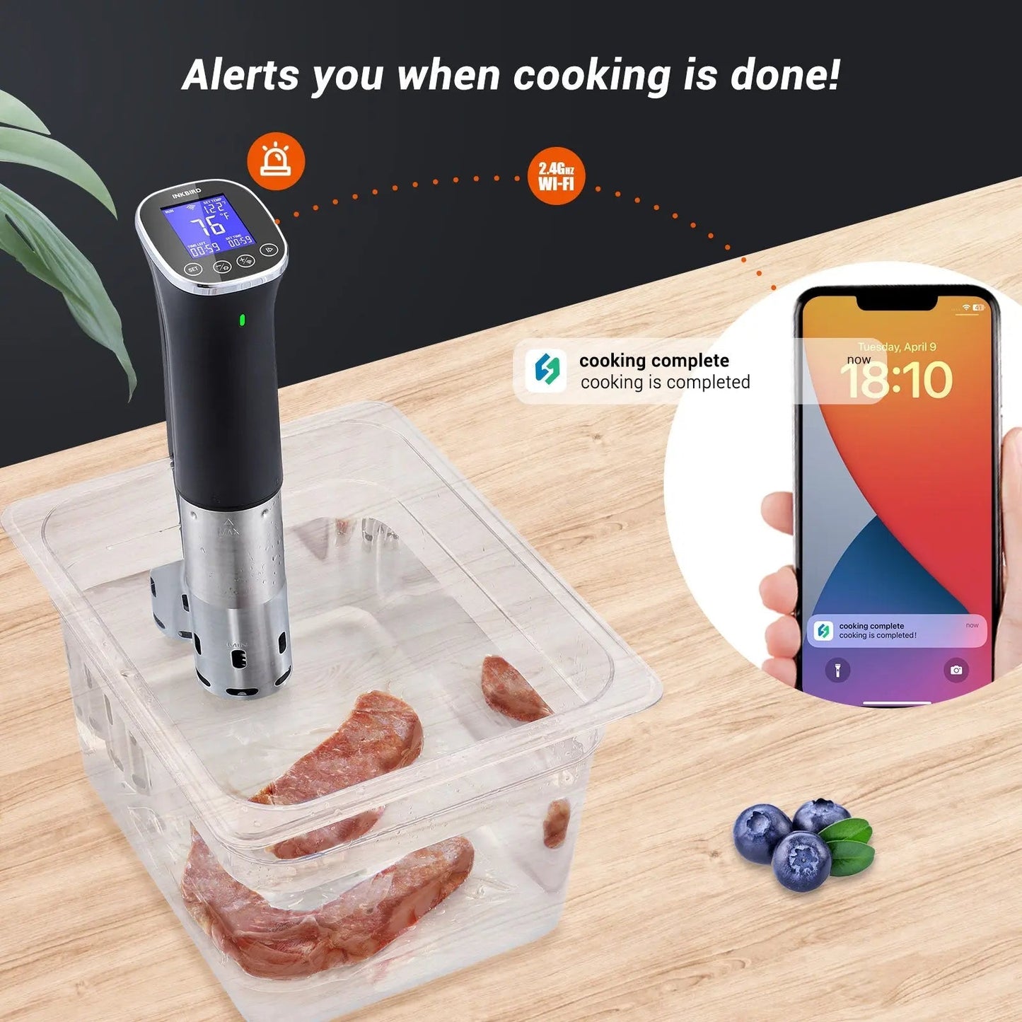 JOLIEO-Electronica-Slimme WiFi Sous Vide Koker - Compact Model - CULINAIR